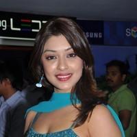 Payal Gosh Hot Gallery | Picture 93167